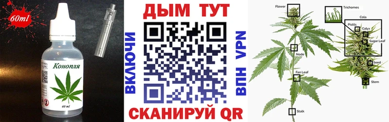 Cannafood конопля  Верея 