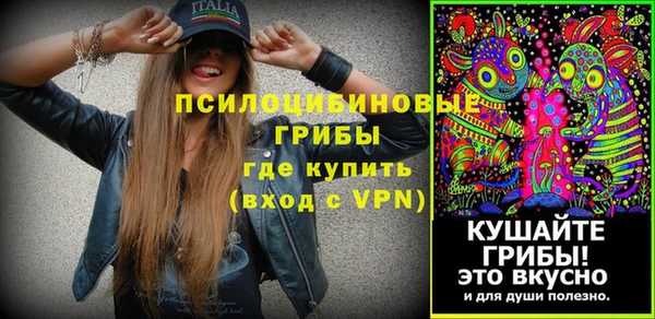 герыч Арсеньев