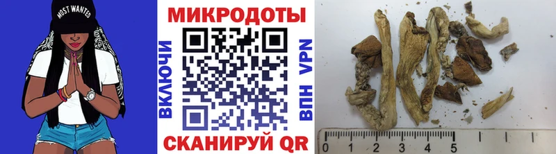 Галлюциногенные грибы прущие грибы  Верея 